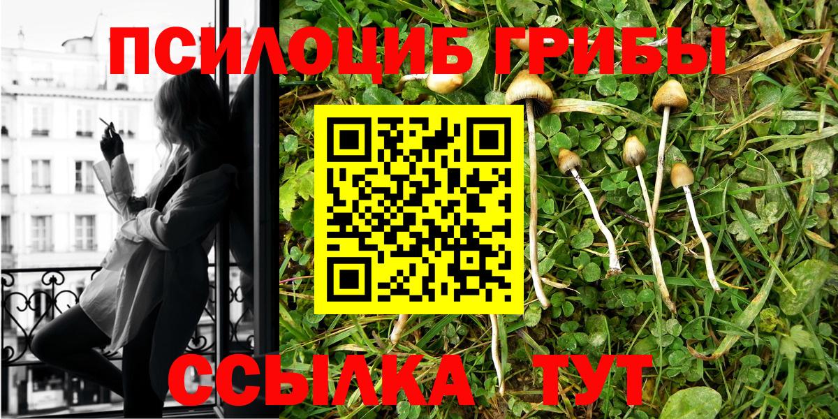 Рославль  Псилоцибиновые грибы мицелий  Вход с VPN  Галлюциногенные грибы прущие грибы 